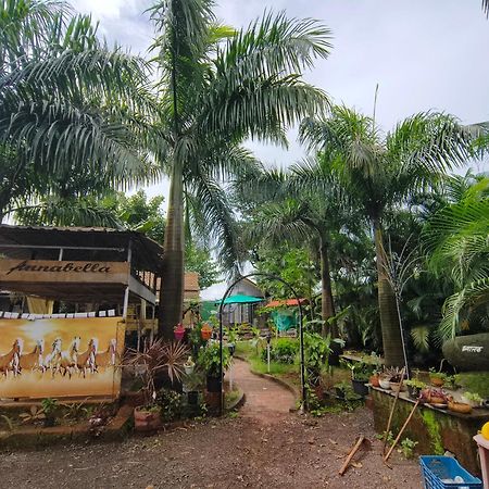 Annabella Resort, Guest House Khakurla Eksteriør bilde